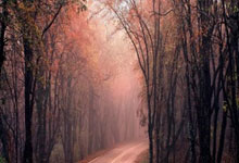 问鼎娱乐官网：[NBA]瓦格纳26分 魔术险胜黄蜂.