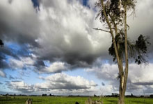 德甲:沃尔夫斯堡1比3不敌多特蒙德.