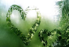 问鼎娱乐官网:哈兰德接近赛季报销,曼城距前4还差1分,瓜帅能拿到欧冠名额吗?.