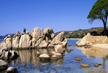 问鼎娱乐官网：乒乓球——亚洲杯：蒯曼胜伊藤美诚.